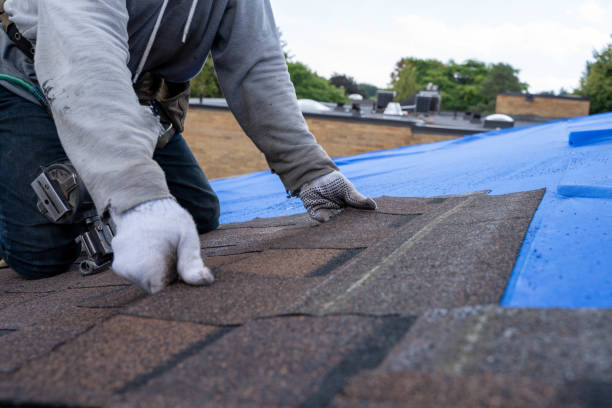 Best Emergency Roof Repair  in Roman Forest, TX