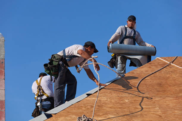 Best Local Roofing Companies  in Roman Forest, TX