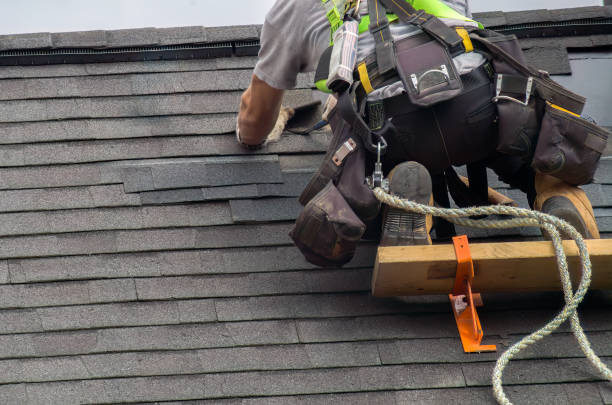 Quick and Trustworthy Emergency Roof Repair Services in Roman Forest, TX