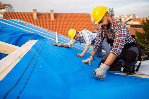 Best Storm Damage Roof Repair  in Roman Forest, TX