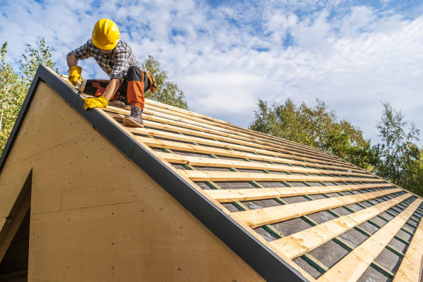 Best Roof Leak Repair  in Roman Forest, TX