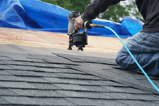 Best Metal Roofing Contractor  in Roman Forest, TX