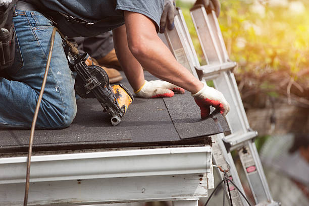 Best Roof Maintenance Services  in Roman Forest, TX