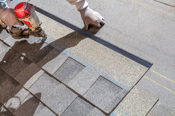 Best Roof Waterproofing Services  in Roman Forest, TX