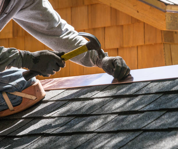 Best Roof Gutter Cleaning  in Roman Forest, TX